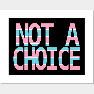 Being Transsexual is Not a Choice Posters and Art